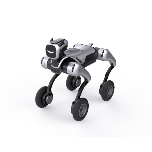MagicDog-W - Image 5