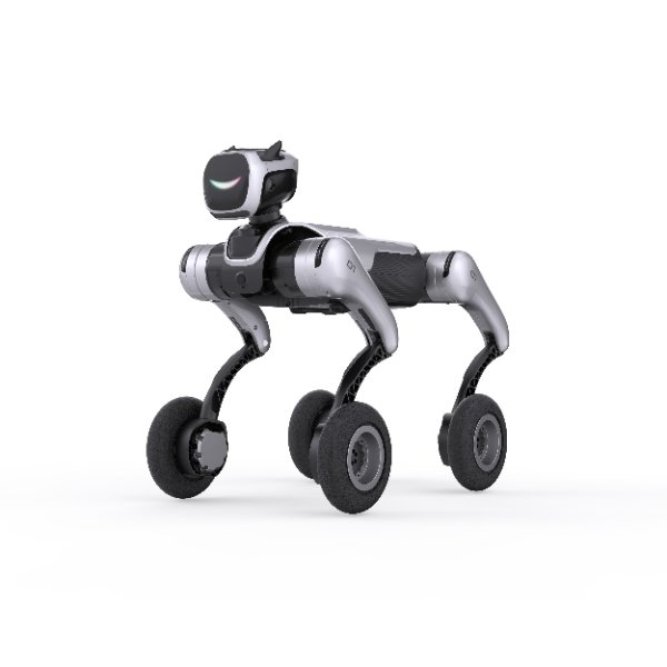 MagicDog-W - Image 4