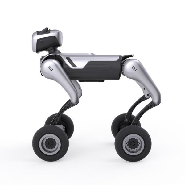 MagicDog-W - Image 6